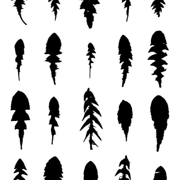 Black silhouettes of leaves on a white background.