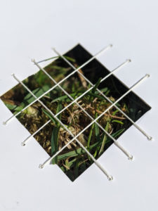 small frame made of paper with thin wires creating a grid across the frame.This structure has been placed on grass and grass is poking through the grid.