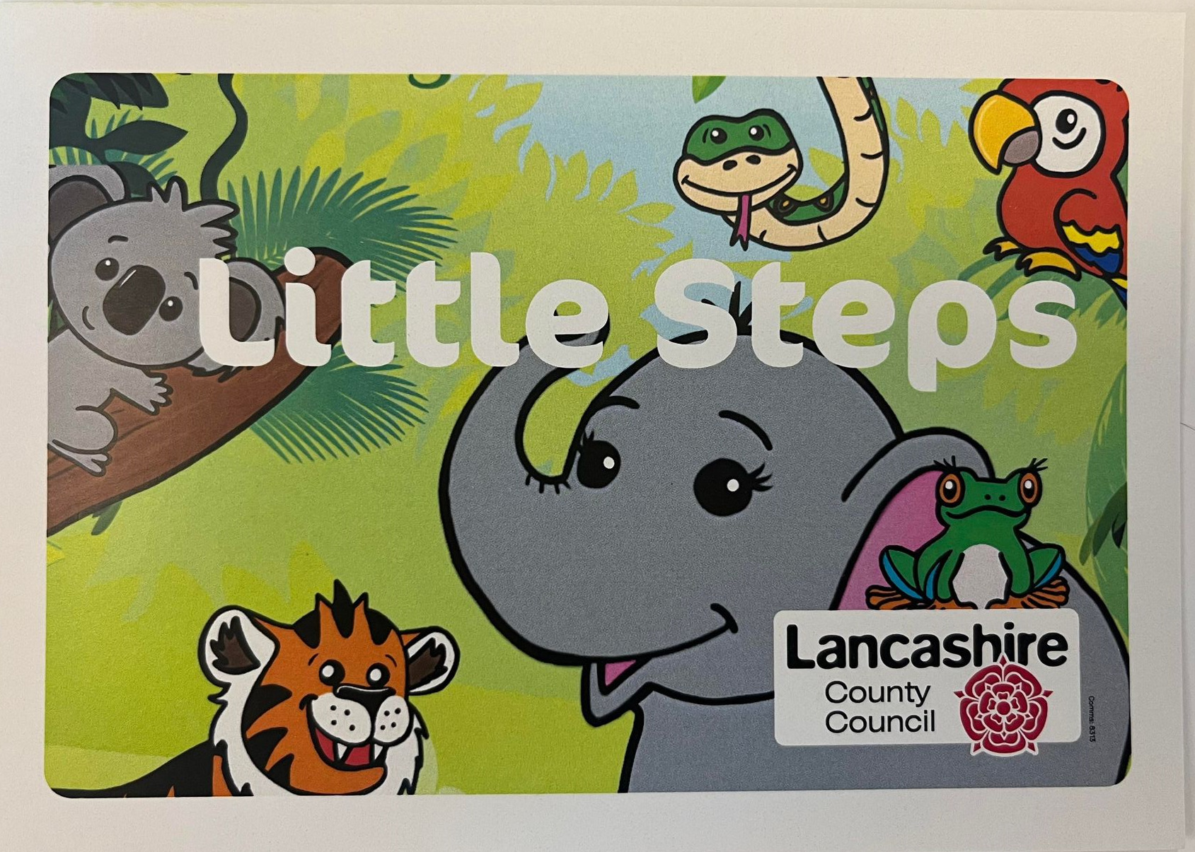 Image of a graphic with an elephant with the title 'Little Steps'