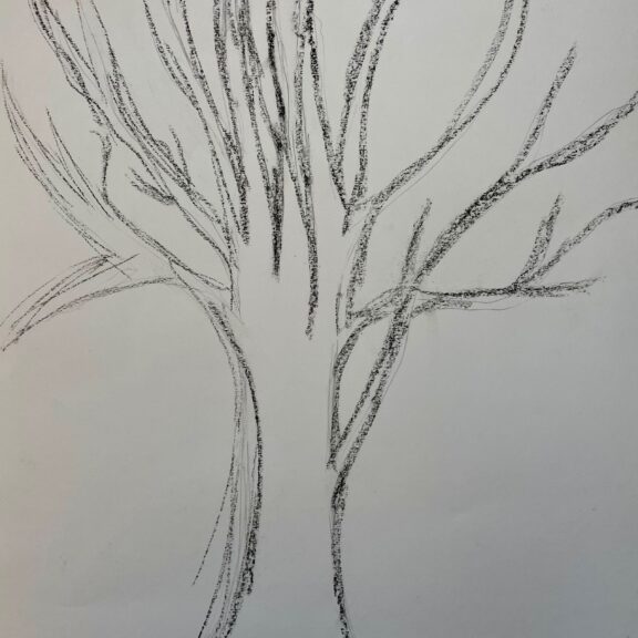 Outline of a tree