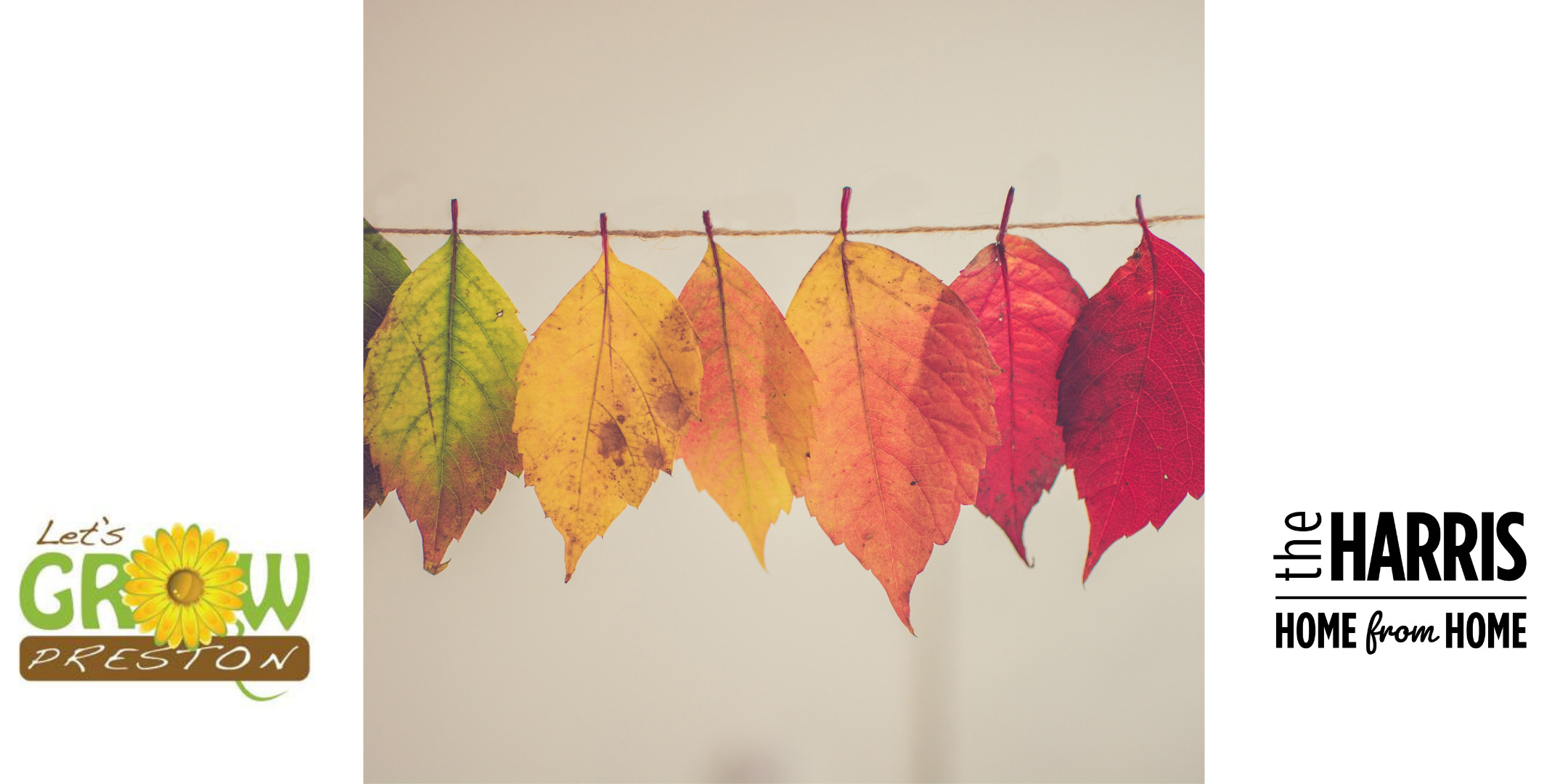 Green, yellow and red leaves hanging from some string.