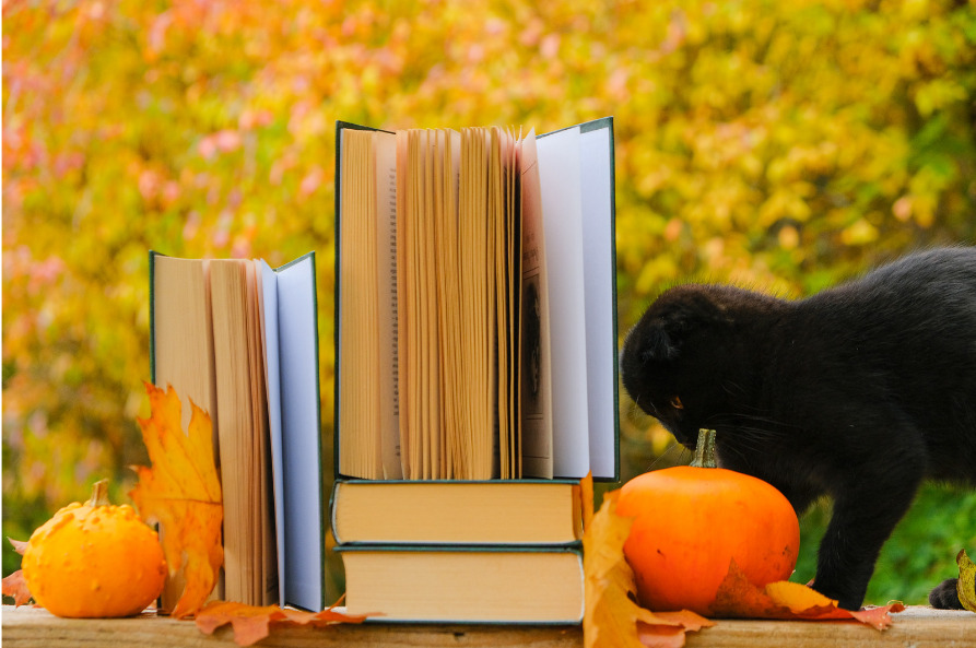 Image of books stacked onto pumpkins