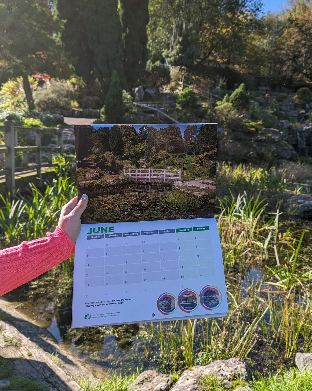 A calendar held up in front of the Japanese gardens at Avenham park