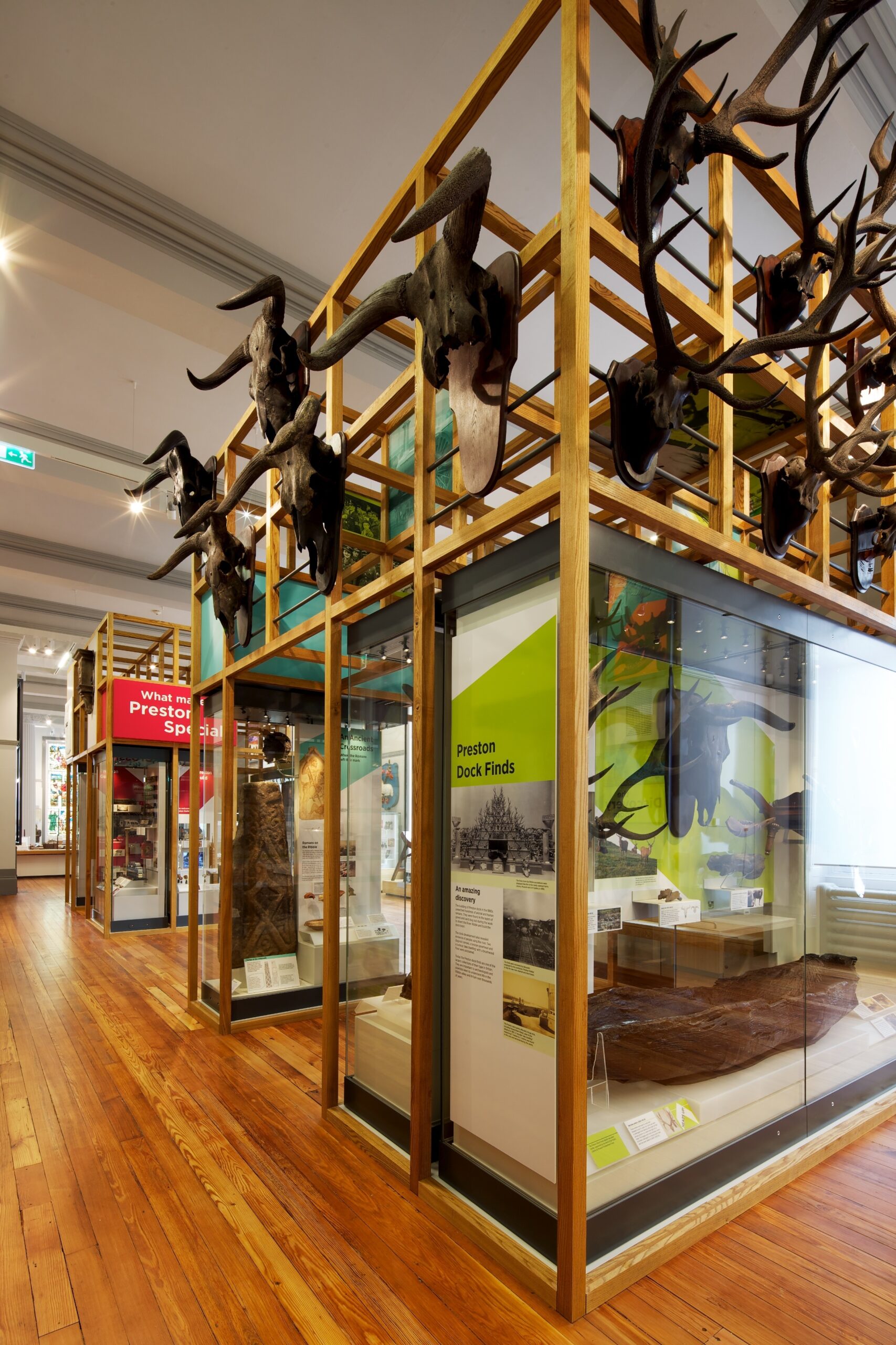 Image of The Discover Preston Gallery with animal skulls hung from the ceeling.