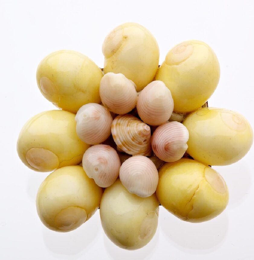 A brooch in the shape of a flower made from yellow and cream coloured shells.