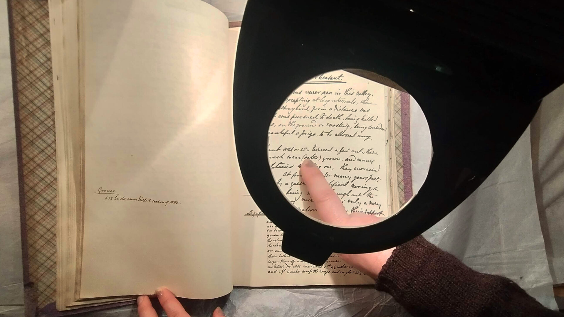 A magnifying glass is held over a historic book.