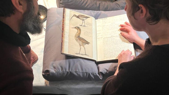 Two people lean over a book displaying illustrations of birds.