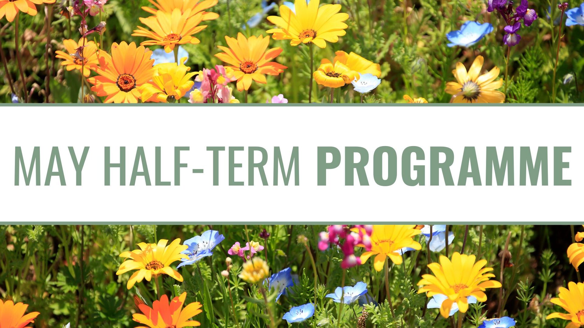 May half term website banner with flowers in the background.