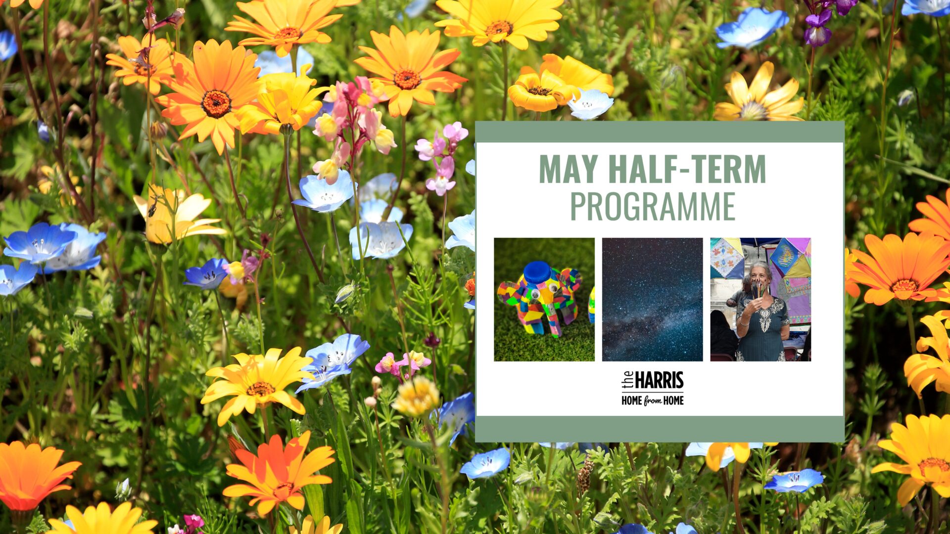 Banner image of The Harris May Half Term with a colourful floral background.